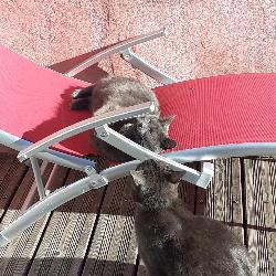 Alcatel Orelle France