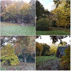 Bernard Tr&eacute;drez-Locqu&eacute;meau France