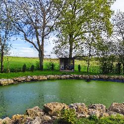 BoisGuyon Neuville-sur-Brenne France