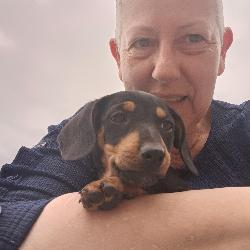 Bri80 Abbeville France