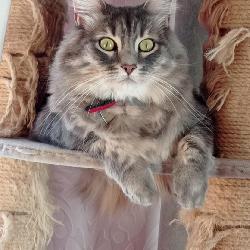 Celoune44 Saint-S&eacute;bastien-sur-Loire France