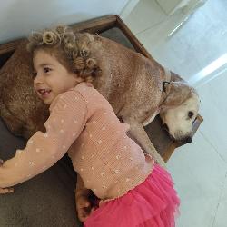 Charlystitch Hadera Israel