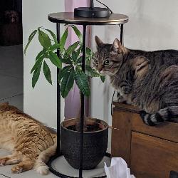 Coco22 Vigneux-sur-Seine France