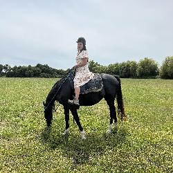 Fama Saint-Brieuc France