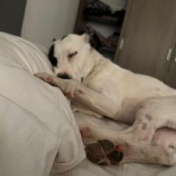 Flordantonio Plottier Argentina