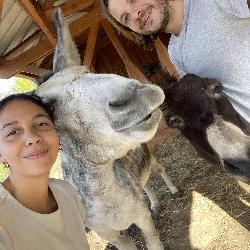 Fremonda Rennes France