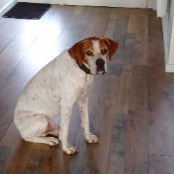 Gillou Neuville-sur-Sa&ocirc;ne France