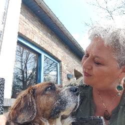 Isa2409 Hotton Belgium