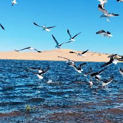 Kike Barra de Valizas Uruguay