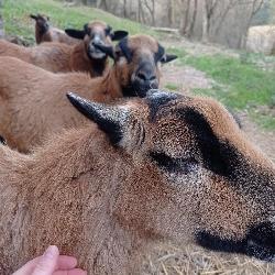 MARGOTE Aouste-sur-Sye France