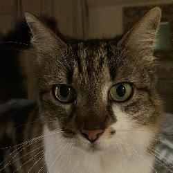 MPGL13 Treuzy-Levelay France