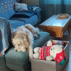 Nath02 Bruy&egrave;res-et-Montb&eacute;rault France