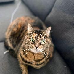 Olily31 Toulouse France