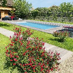 PIMPRENELLE Goupilli&egrave;res France