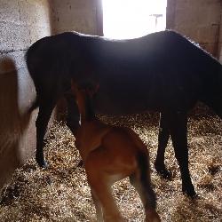 Paloma Rouans France