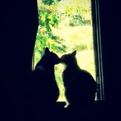 PascalVeille Argenteuil France