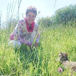 Pepite Tr&eacute;flez France