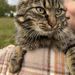 SagaSergio &Aring;svang Norway