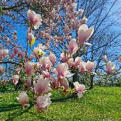 Scuba Cartignies France