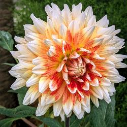 SimoneK Cr&eacute;teil France