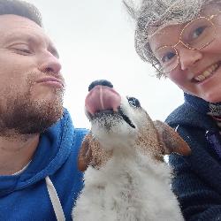 SoSteve Indre France