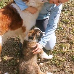 VioletaMD Toulouse France