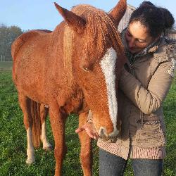 acc70 Saint-Laurent-des-B&acirc;tons France