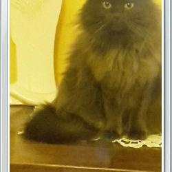 barbotan Loriol-sur-Dr&ocirc;me France