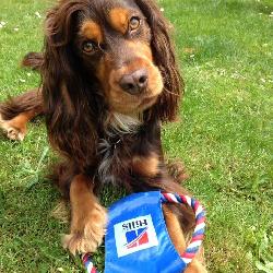 beadany78 M&eacute;dan France