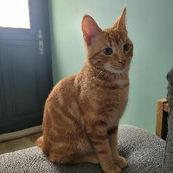 bernard1957 Le Pian-M&eacute;doc France