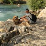 camouss Plan-d'Orgon France