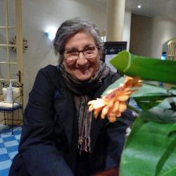 crirogama Saint-Nazaire France