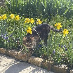 cristine Mauzens-et-Miremont France