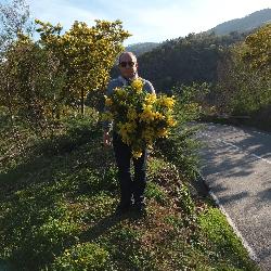 denis91 Saint-Germain-l&egrave;s-Arpajon France