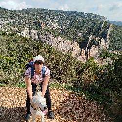 elo6464 Oloron-Sainte-Marie France