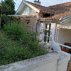 emmanuelletraquini75 Decazeville France