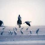 florencia40 Nantes France