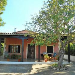 francoisemallorca Manacor Spain