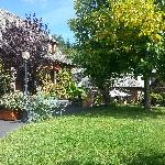 fredie15 Calvinet France