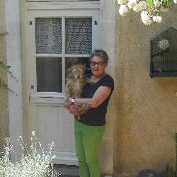 ginger Saint-Denis-dAnjou France