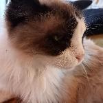 koobnat La Seyne-sur-Mer France