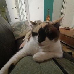 laure974 Saline-les Hauts Reunion