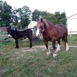 lolo23 Saint-Marc-&agrave;-Frongier France