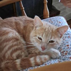 louisa Compi&egrave;gne France