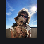 max01122019 Nivelles Belgium