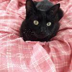 melody49 Grenoble France