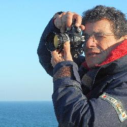 mitou Le Palais France