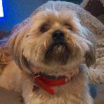 nathy Saint Malo France