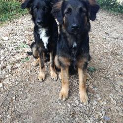 nouchka Olmet France