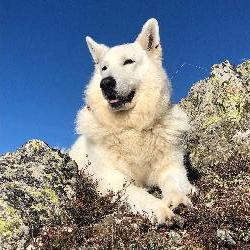 Almi Saint-Th&eacute;offrey France